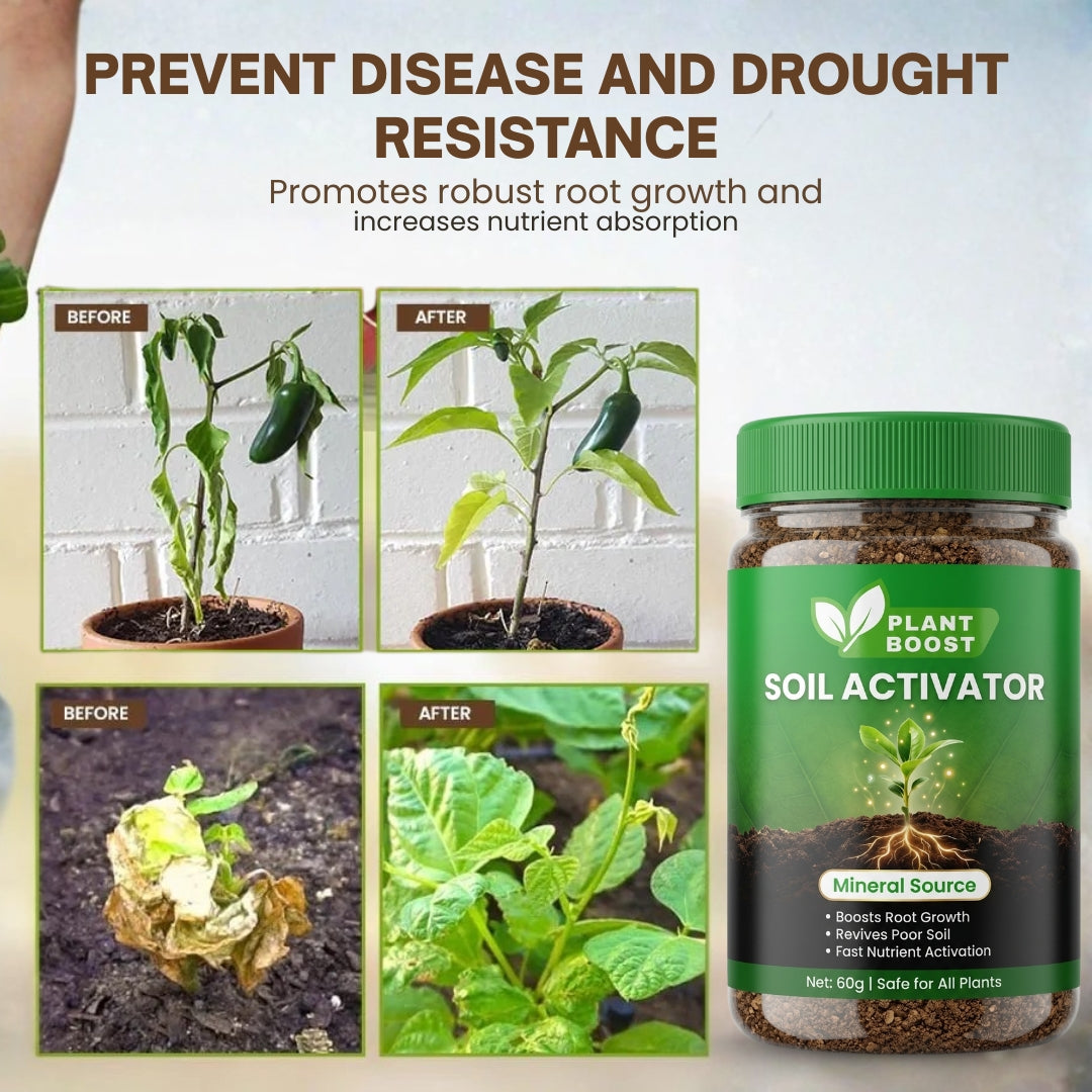 Soil Activator - BUY 1 GET 1 FREE