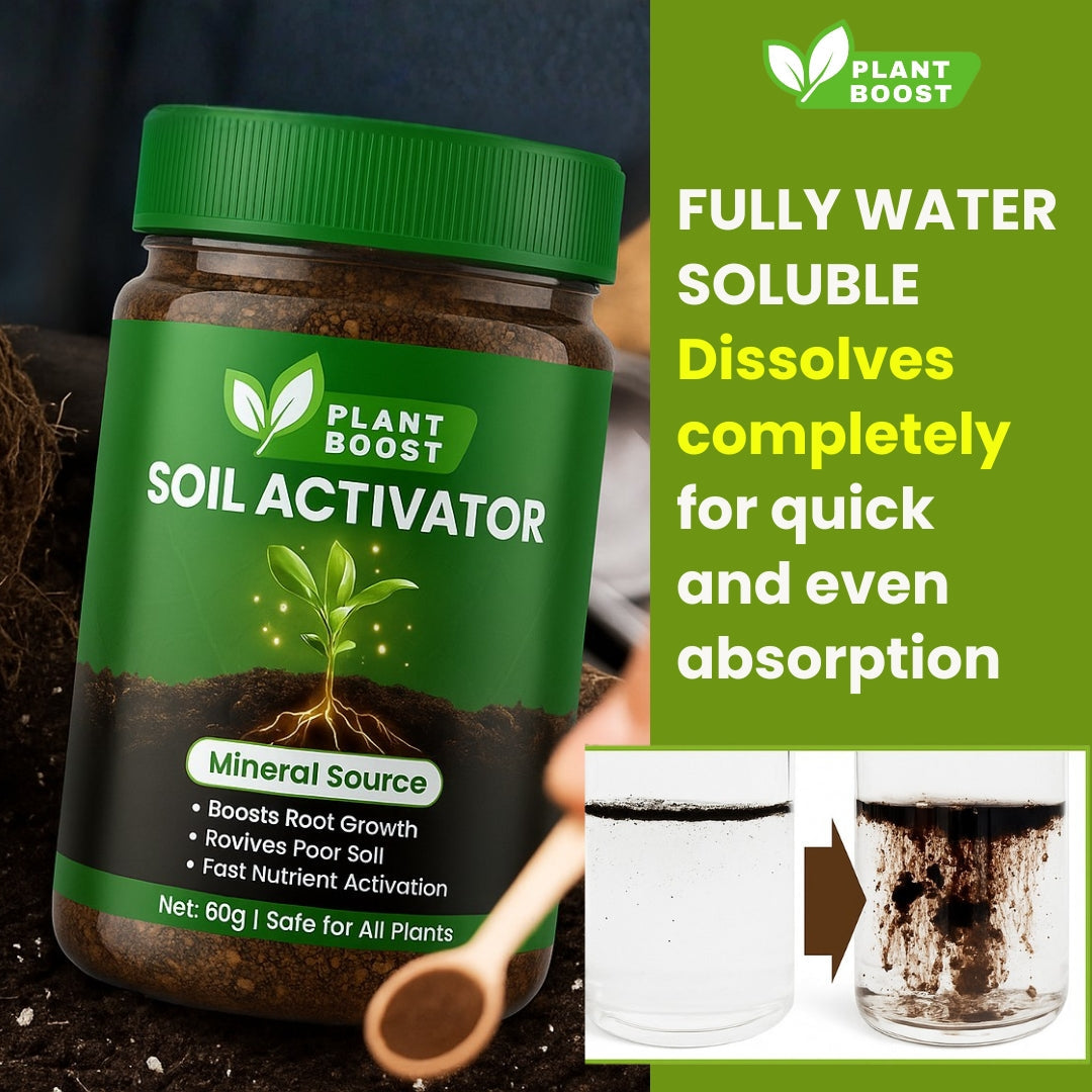 Soil Activator - BUY 1 GET 1 FREE