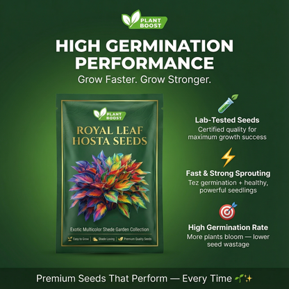Royal Leaf Hosta Seeds (Buy 1 Get 1 Free)