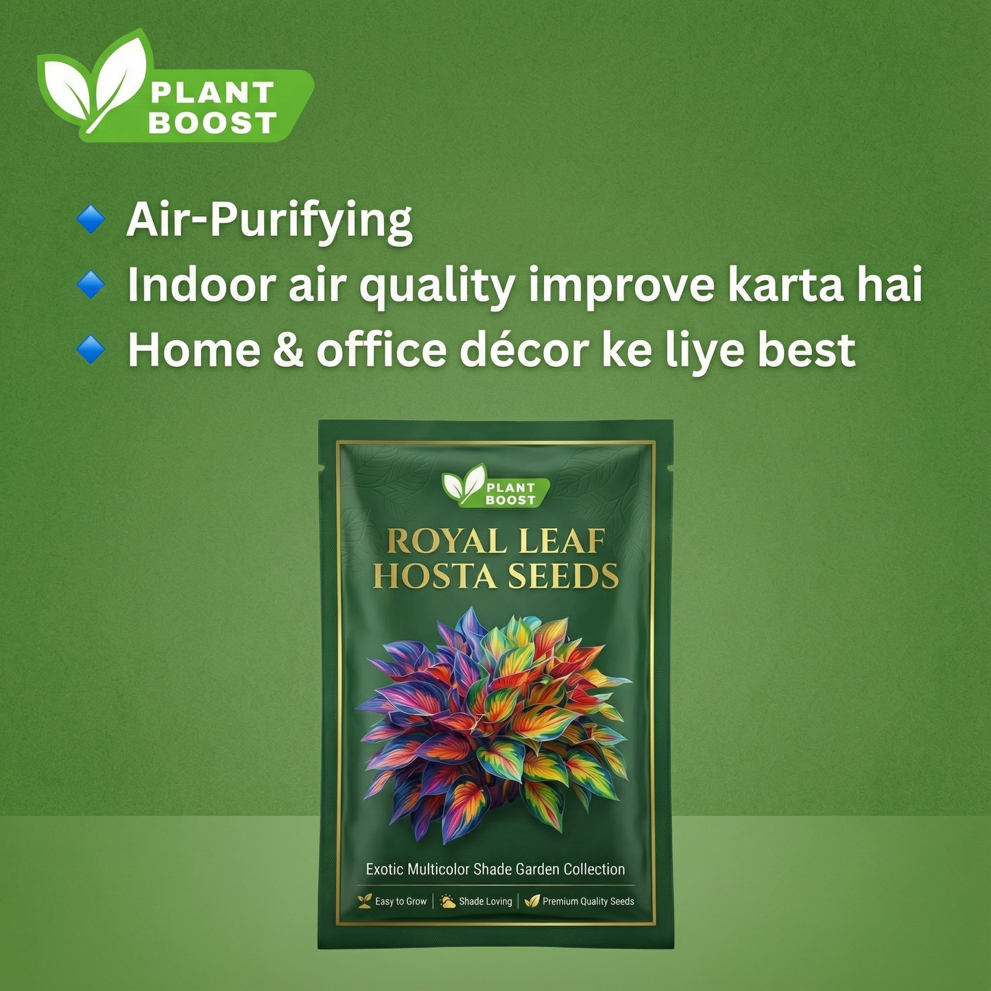 Royal Leaf Hosta Seeds (Buy 1 Get 1 Free)