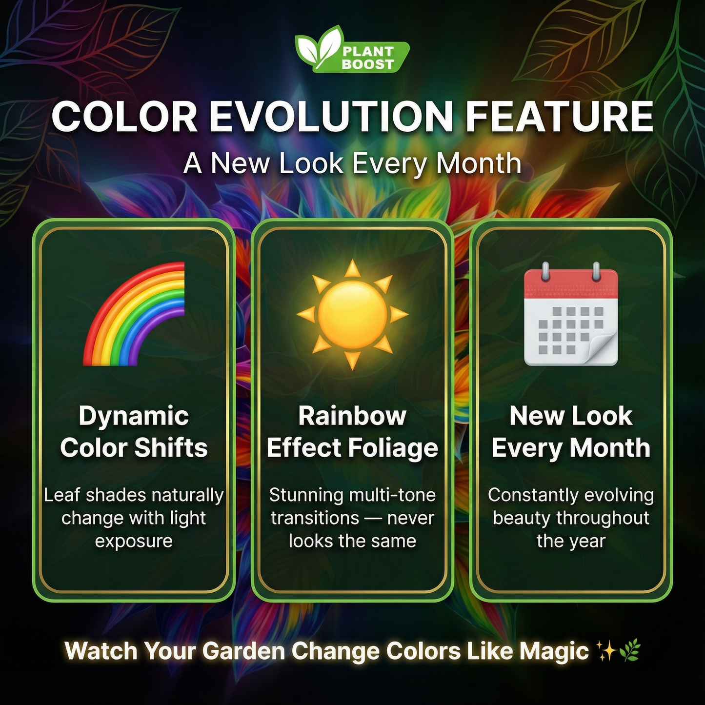 Royal Leaf Hosta Seeds (Buy 1 Get 1 Free)