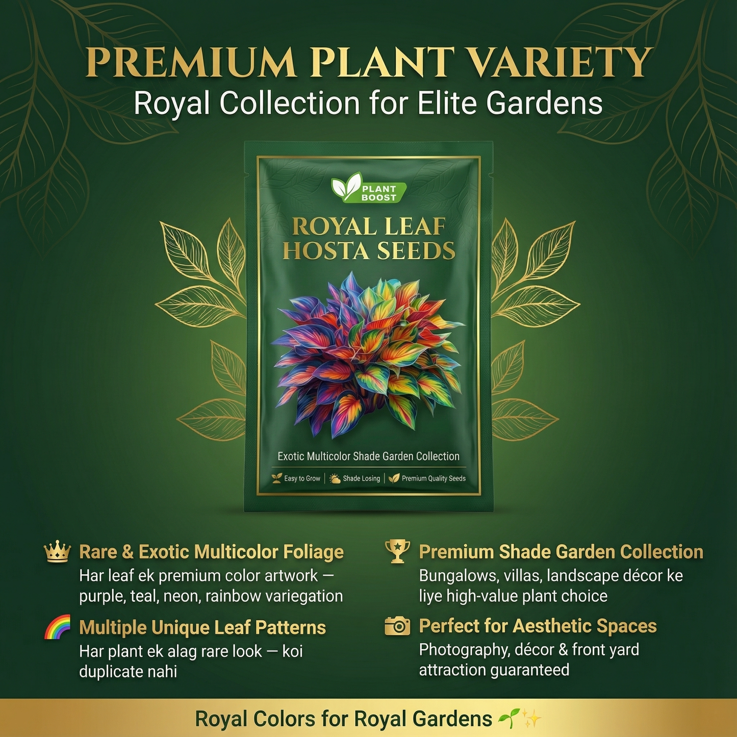 Royal Leaf Hosta Seeds (Buy 1 Get 1 Free)